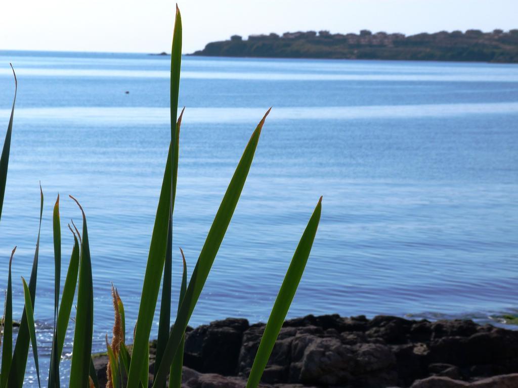 Sea View Apartments Sozopol Room photo